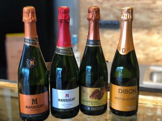 Mame pro Vás 4 nových druhu španělské Cavy. Dohromady nabízíme 7 druhu Cavy. tintoblancocz Sexy a elegantní #Sexy #elegant...