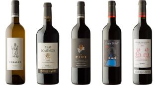 Nová vína v našem eshop - tintoblanco.cz
